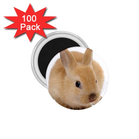 Cute bunny 1.75  Magnet (100 pack)  from ArtsNow.com Front