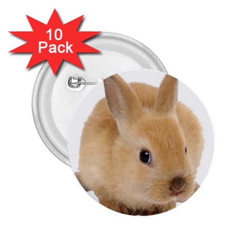Cute bunny 2.25  Button (10 pack) from ArtsNow.com Front