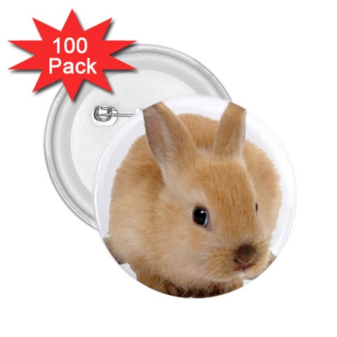 Cute bunny 2.25  Button (100 pack) from ArtsNow.com Front