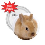 Cute bunny 2.25  Button (100 pack)