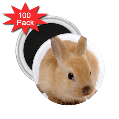 Cute bunny 2.25  Magnet (100 pack)  from ArtsNow.com Front