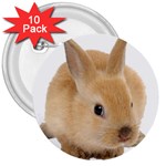 Cute bunny 3  Button (10 pack)