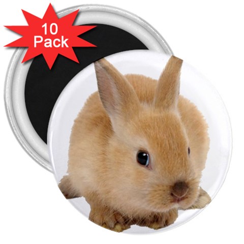 Cute bunny 3  Magnet (10 pack) from ArtsNow.com Front