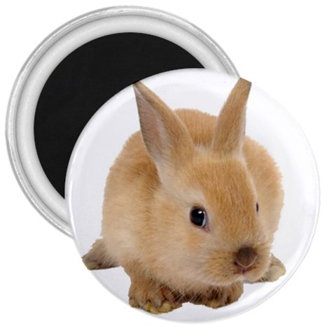 Cute bunny 3  Magnet from ArtsNow.com Front
