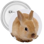 Cute bunny 3  Button