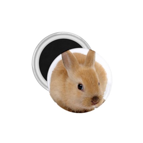 Cute bunny 1.75  Magnet from ArtsNow.com Front