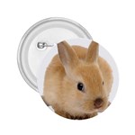 Cute bunny 2.25  Button