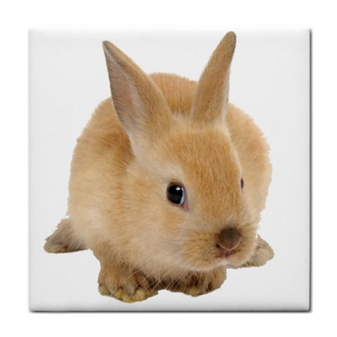 Cute bunny Tile Coaster from ArtsNow.com Front