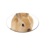 Cute bunny Sticker (Oval)
