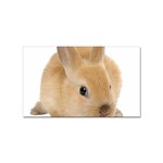 Cute bunny Sticker (Rectangular)