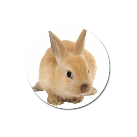 Cute bunny Magnet 3  (Round) from ArtsNow.com Front