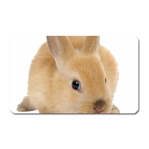 Cute bunny Magnet (Rectangular) from ArtsNow.com Front