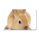 Cute bunny Magnet (Rectangular)