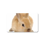 Cute bunny Magnet (Name Card)