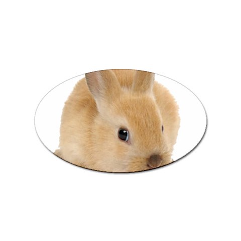 Cute bunny Sticker Oval (10 pack) from ArtsNow.com Front