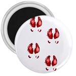 Trotters 3  Magnet