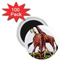 Drinking giraffe 1.75  Magnet (100 pack) 