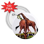 Drinking giraffe 2.25  Button (100 pack)