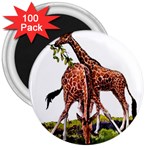 Drinking giraffe 3  Magnet (100 pack)