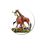 Drinking giraffe Magnet 3  (Round)