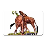 Drinking giraffe Magnet (Rectangular)