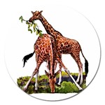 Drinking giraffe Magnet 5  (Round)