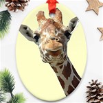 Giraffe Ornament (Oval)