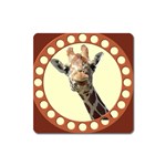 Giraffe Magnet (Square)