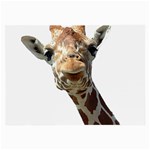Giraffe Glasses Cloth (Large)