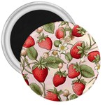 Strawberry Fruit 3  Magnets