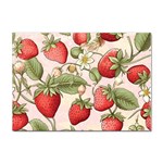 Strawberry Fruit Sticker A4 (100 pack)
