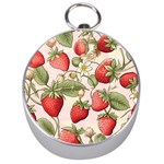 Strawberry Fruit Silver Compasses