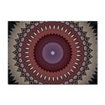 Art Pattern Design Sticker A4 (100 pack)
