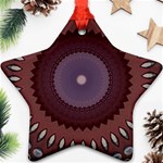 Art Pattern Design Star Ornament (Two Sides)