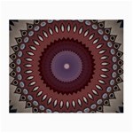 Art Pattern Design Small Glasses Cloth (2 Sides)