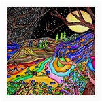 Nature Moon Psychedelic Painting Medium Glasses Cloth