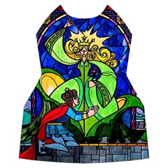 Beauty And The Beast Stained Glass Rose Women s Long Sleeve Raglan T Front