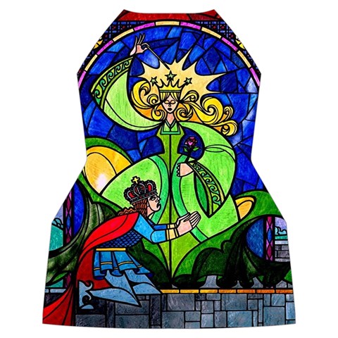Beauty And The Beast Stained Glass Rose Women s Long Sleeve Raglan T Back