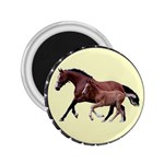 Mare n foal 2.25  Magnet