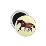 Mare n foal 1.75  Magnet