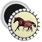Mare n foal 3  Magnet