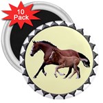 Mare n foal 3  Magnet (10 pack)