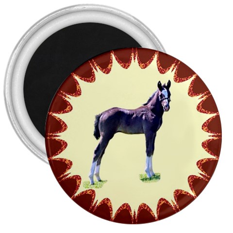 Foal 3  Magnet from ArtsNow.com Front