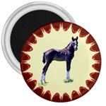 Foal 3  Magnet