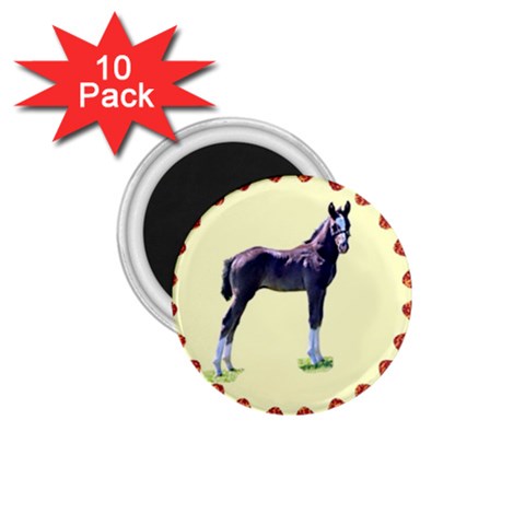 Foal 1.75  Magnet (10 pack)  from ArtsNow.com Front