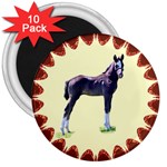 Foal 3  Magnet (10 pack)