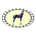 Foal Magnet (Oval)