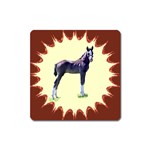 Foal Magnet (Square)