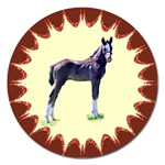 Foal Magnet 5  (Round)