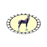 Foal Sticker Oval (10 pack)